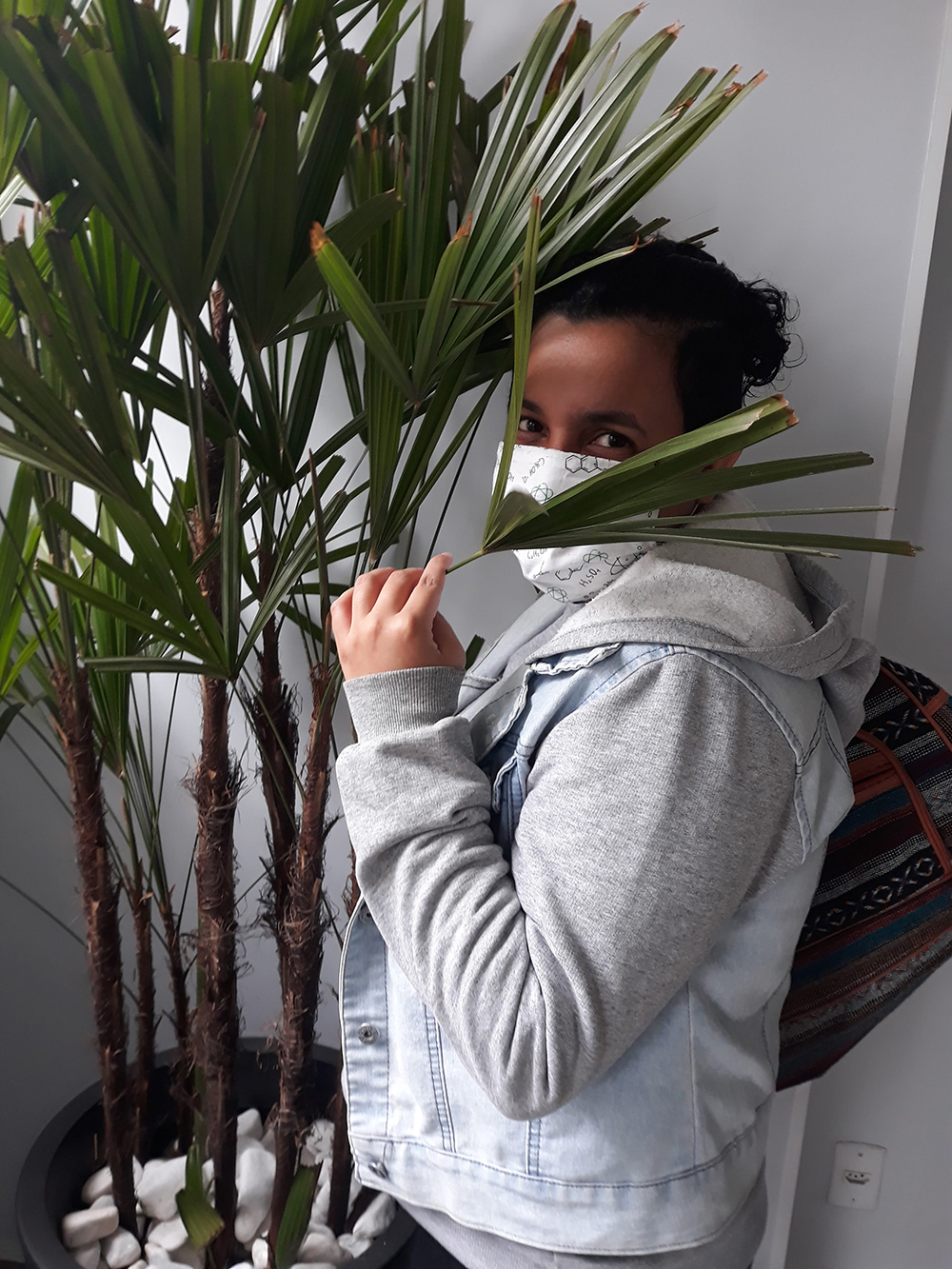 Charminho misterioso