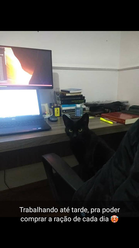 Trabalhando até tarde